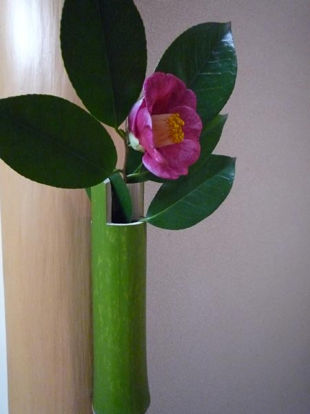 ւ炸