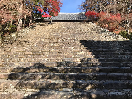 紅葉狩りももうおしまい