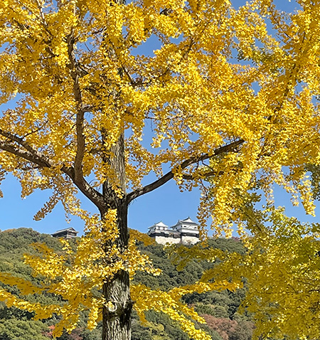 お城下晩秋