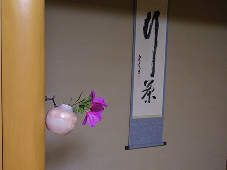 五月・皐月・・・　　いい季節