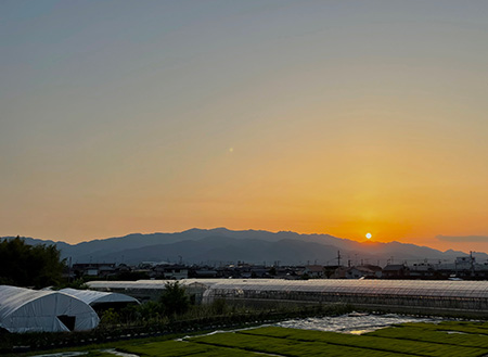 梅雨前好天日
