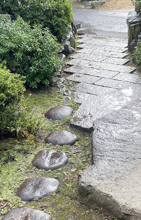 雨上がり玄関先