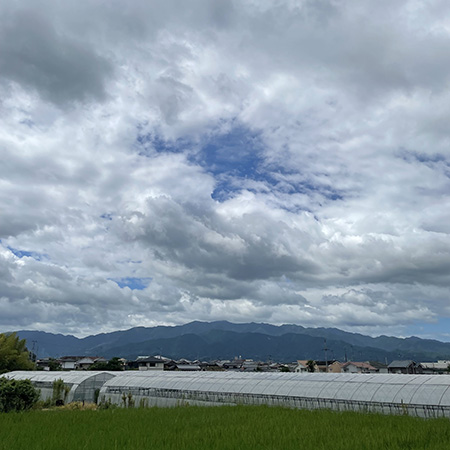 隙間の空は高く？
