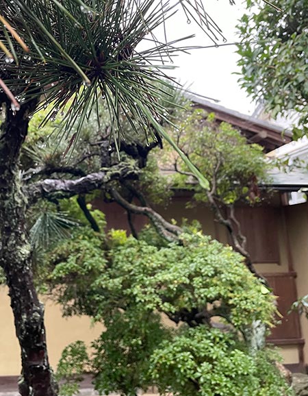 一雨毎冬近模様