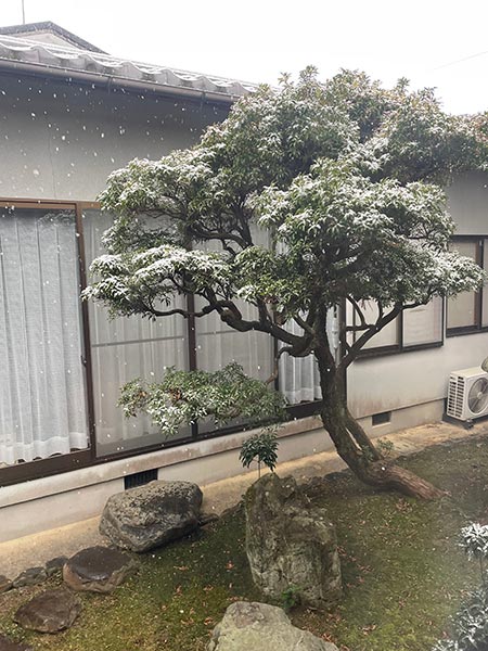 立春の朝